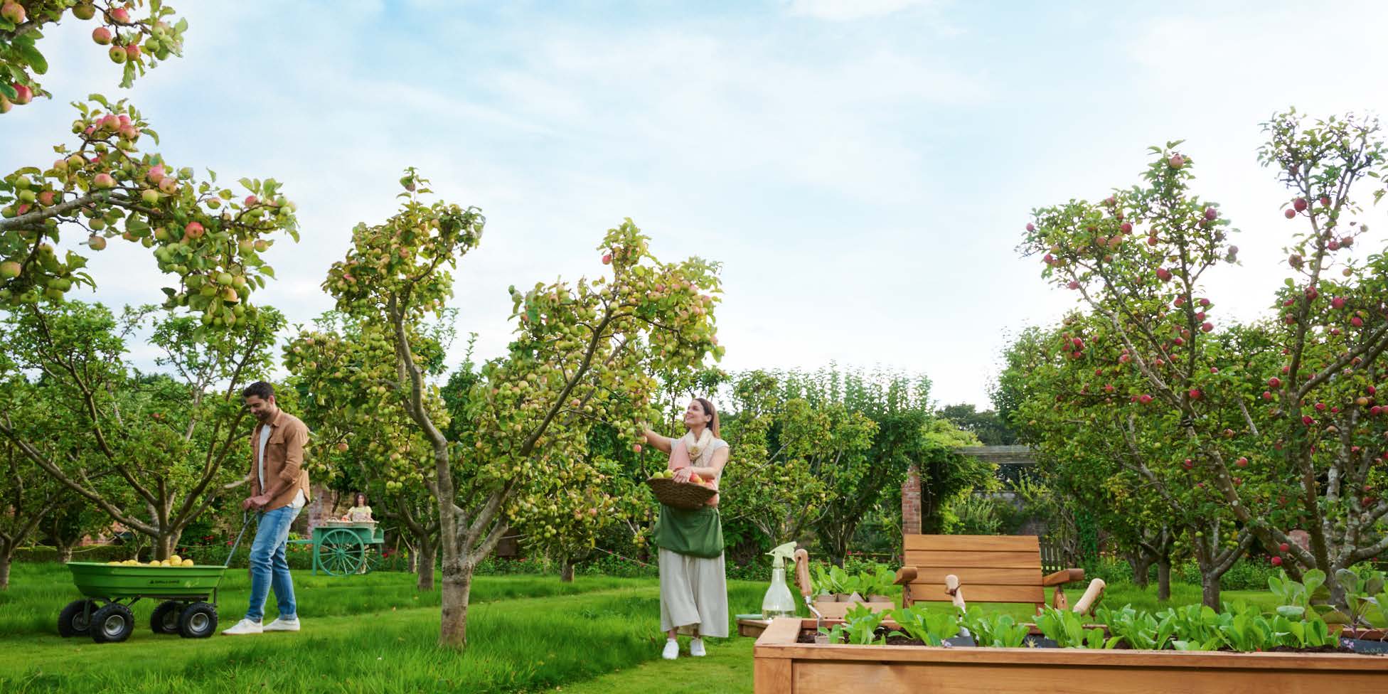 Duplex | Forsa Property