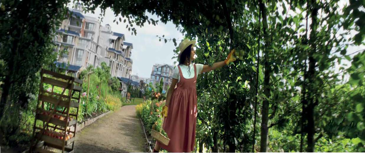 Duplex | Forsa Property