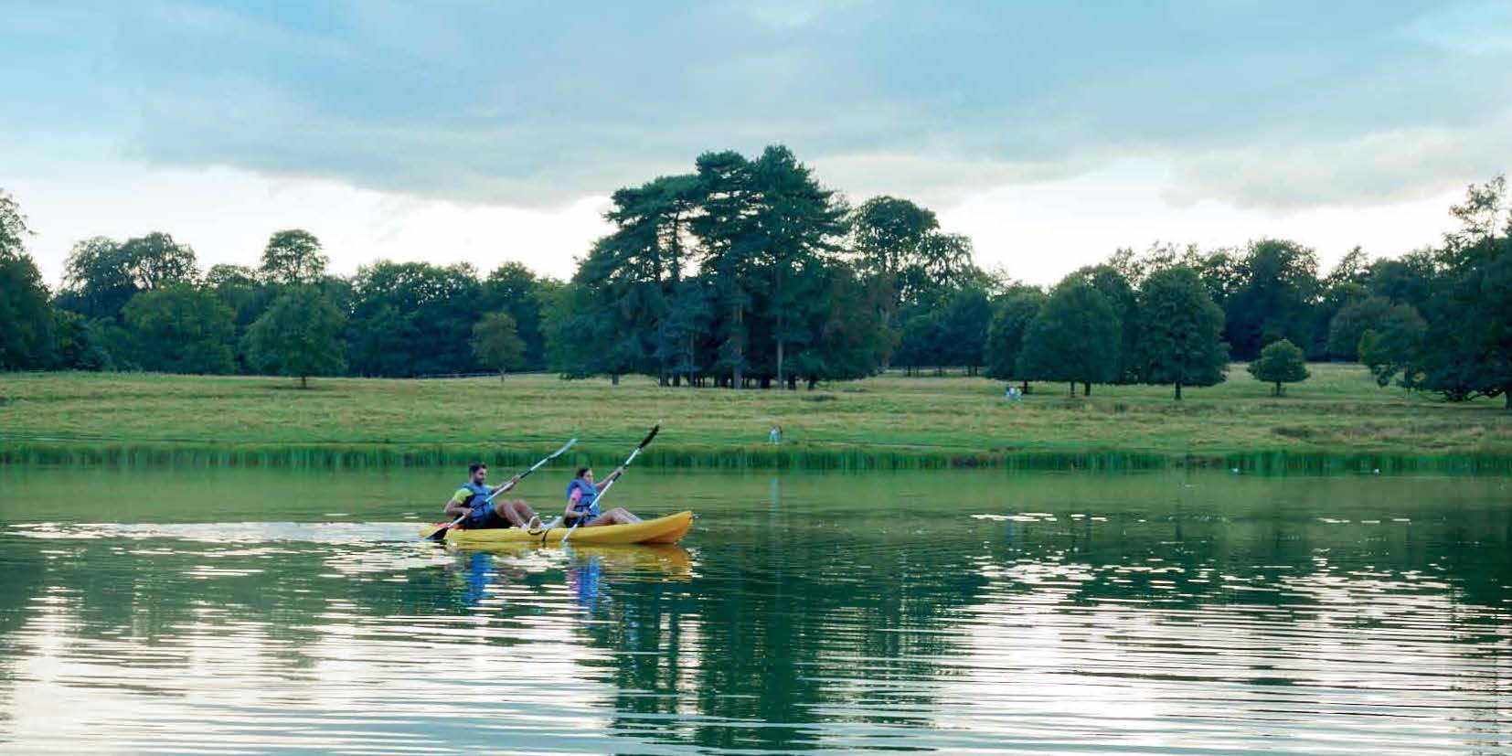 Duplex | Forsa Property