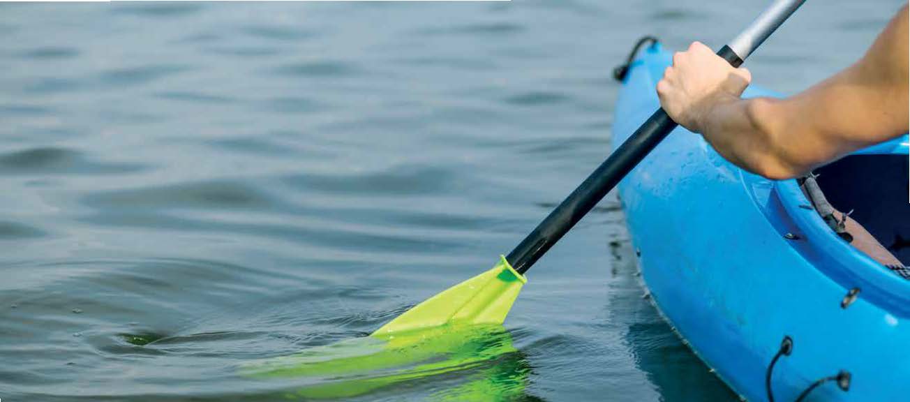 Duplex | Forsa Property