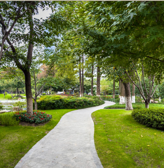 Apartment at Tierra | Forsa Property