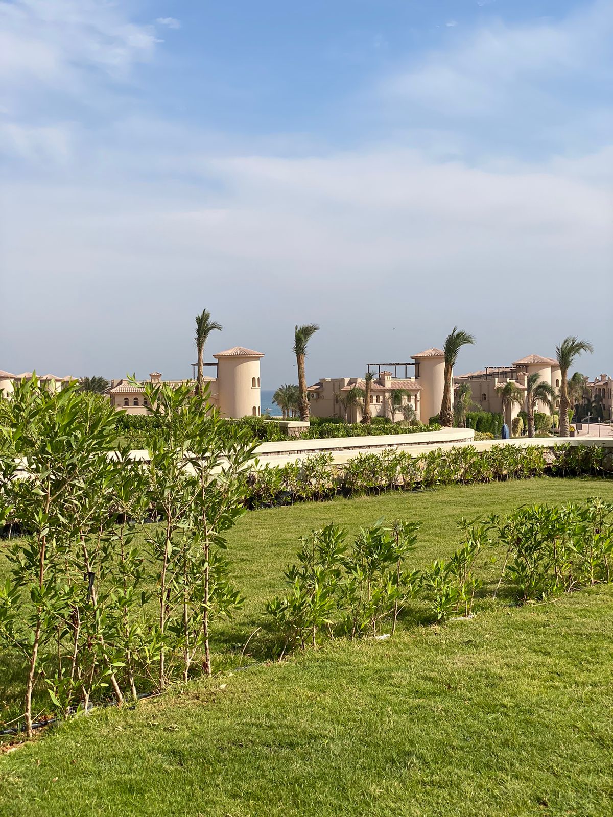 توين هاوس at لافيستا جاردنز | Forsa Property