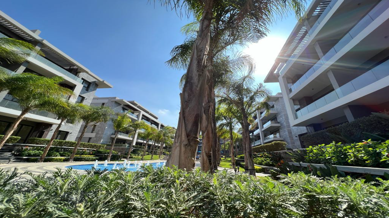 Apartment at El Patio 7 | Forsa Property Apartment at El Patio 7 | Forsa Property