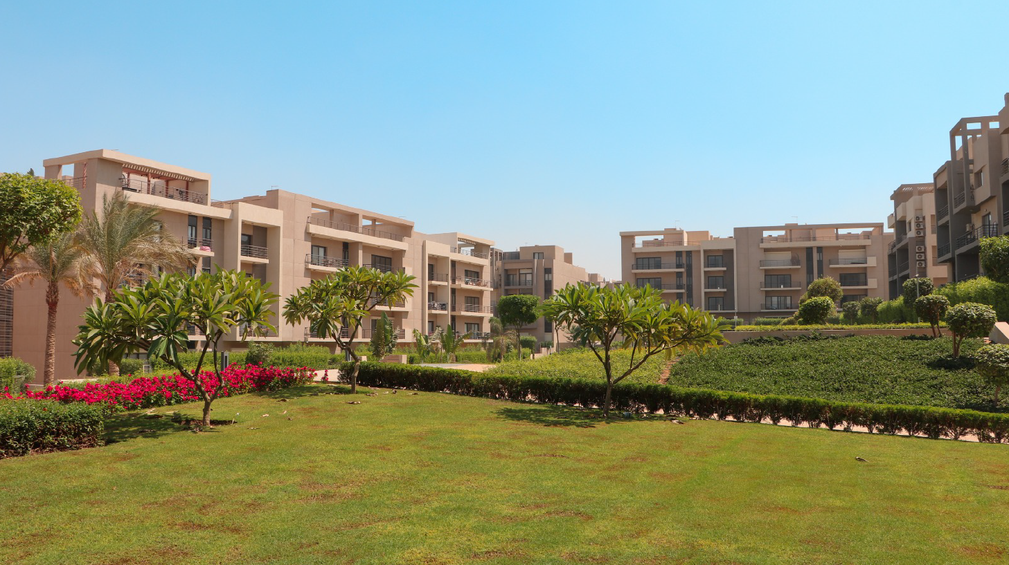 Apartment | Forsa Property