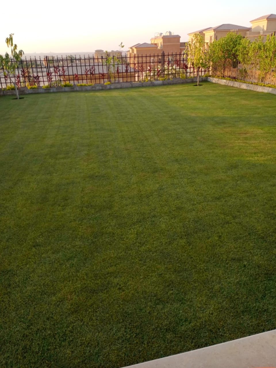 Twin House at Royal Meadows Sheikh Zayed | Forsa Property