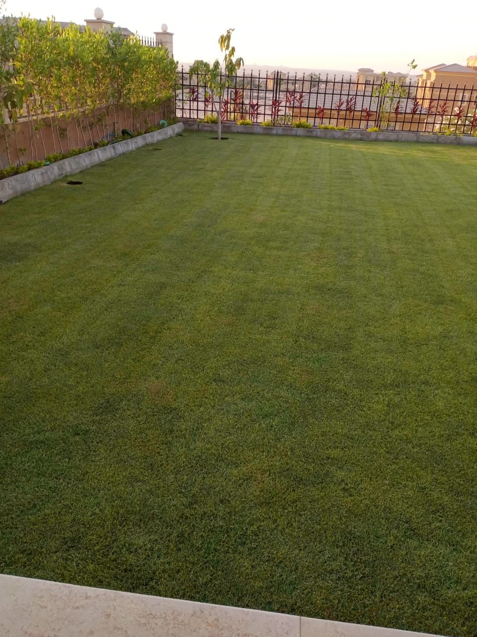 Twin House at Royal Meadows Sheikh Zayed | Forsa Property