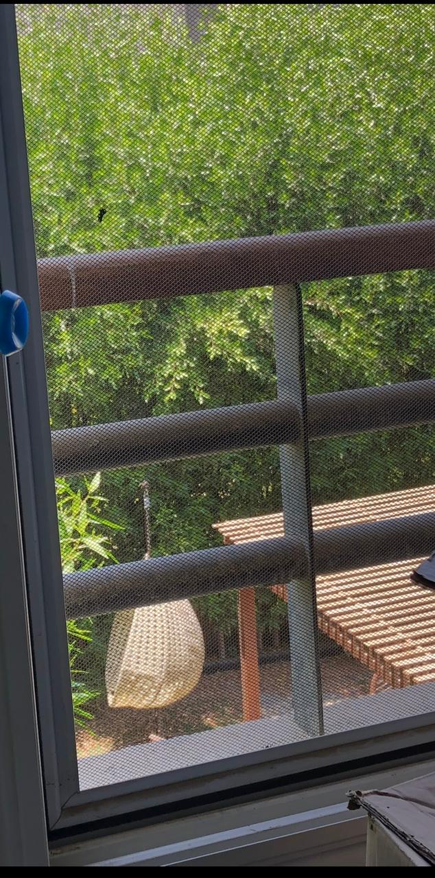 Twin House | Forsa Property