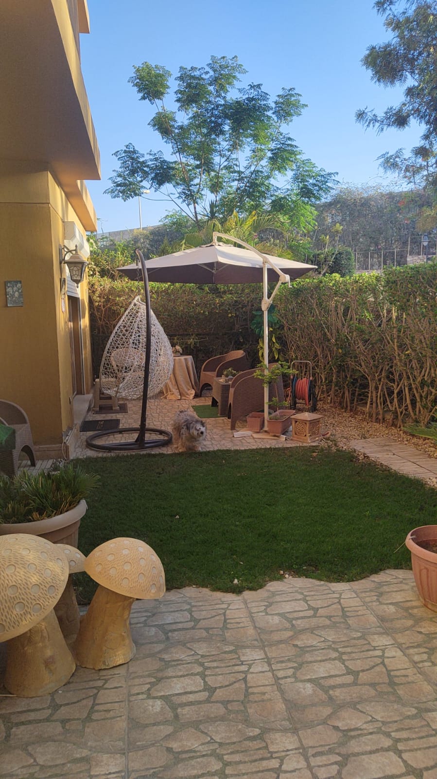 Apartment at Jewar Sheikh Zayed | Forsa Property