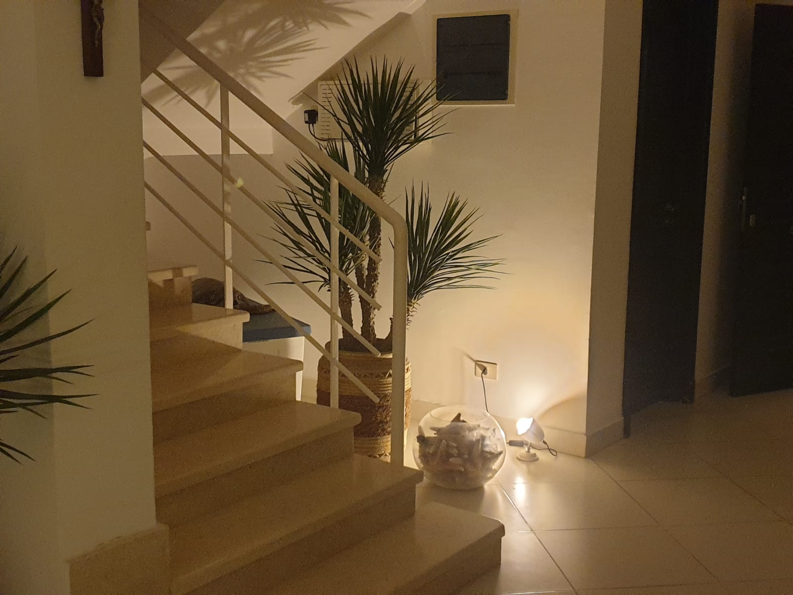 Villa at Telal North Coast | Forsa Property