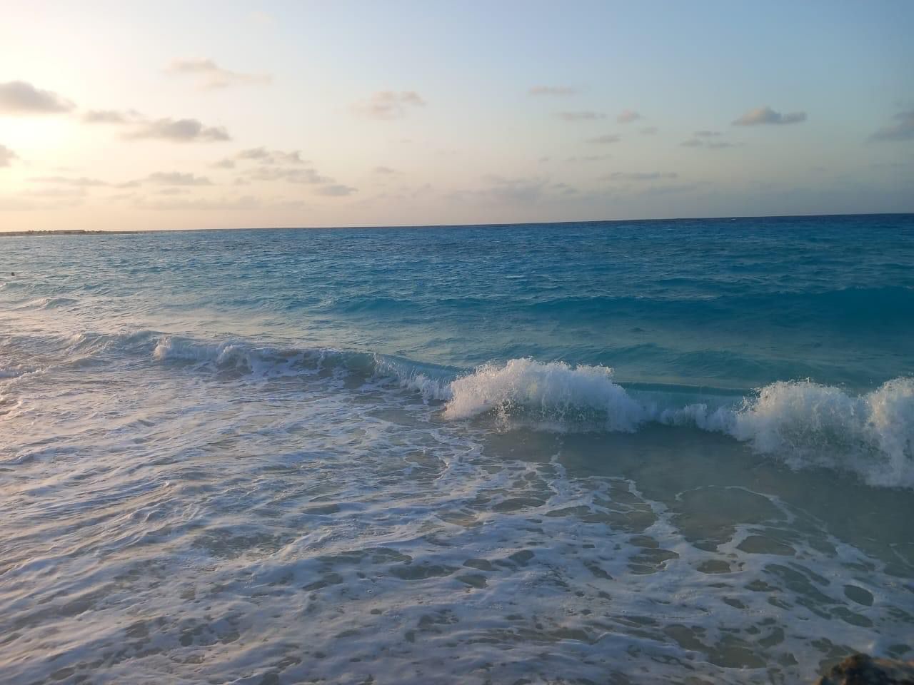 Chalet at Stella Heights | Forsa Property