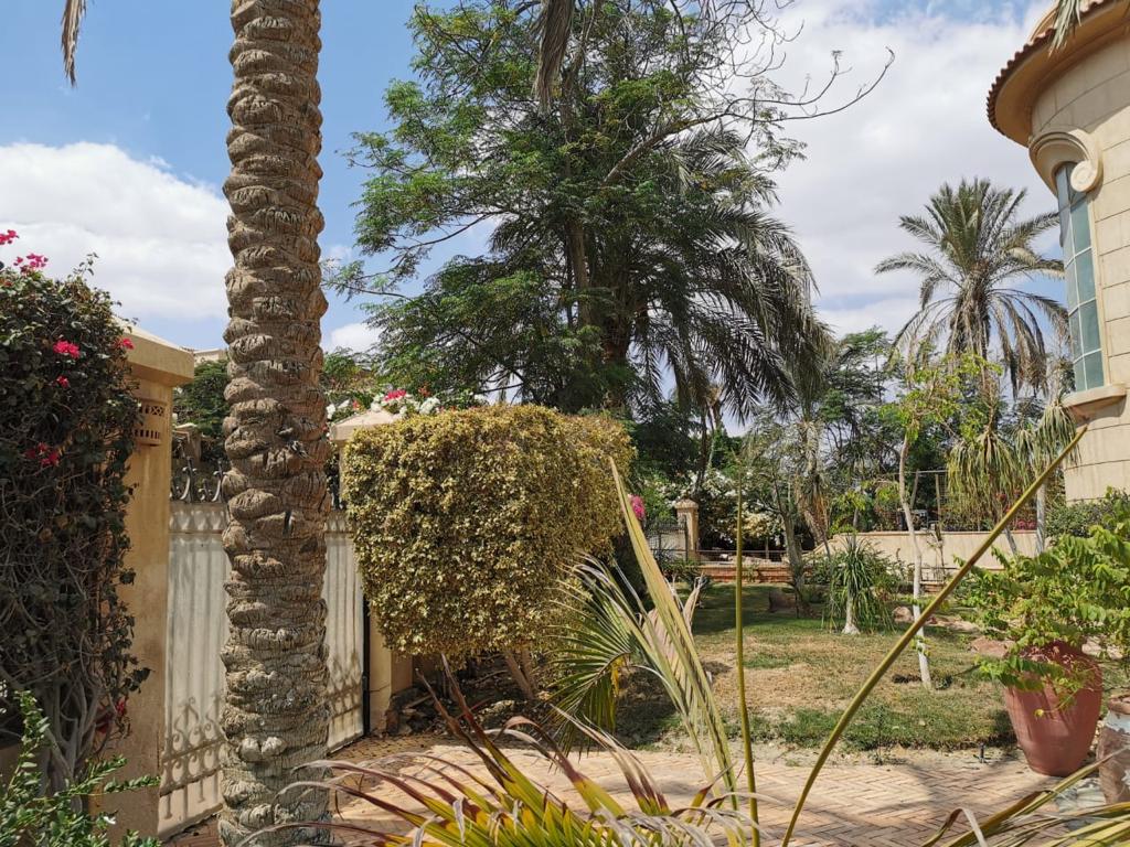 Villa at City View | Forsa Property