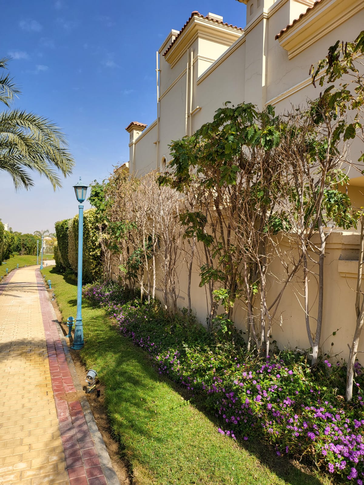 Twin House at El Patio 5 East | Forsa Property