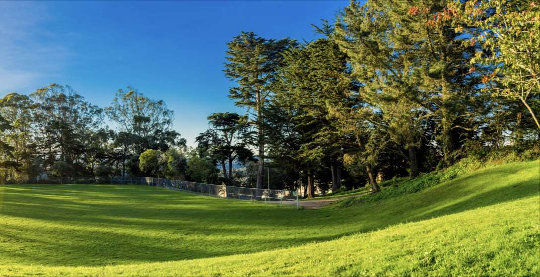 Apartment at Il Bosco City  | Forsa Property