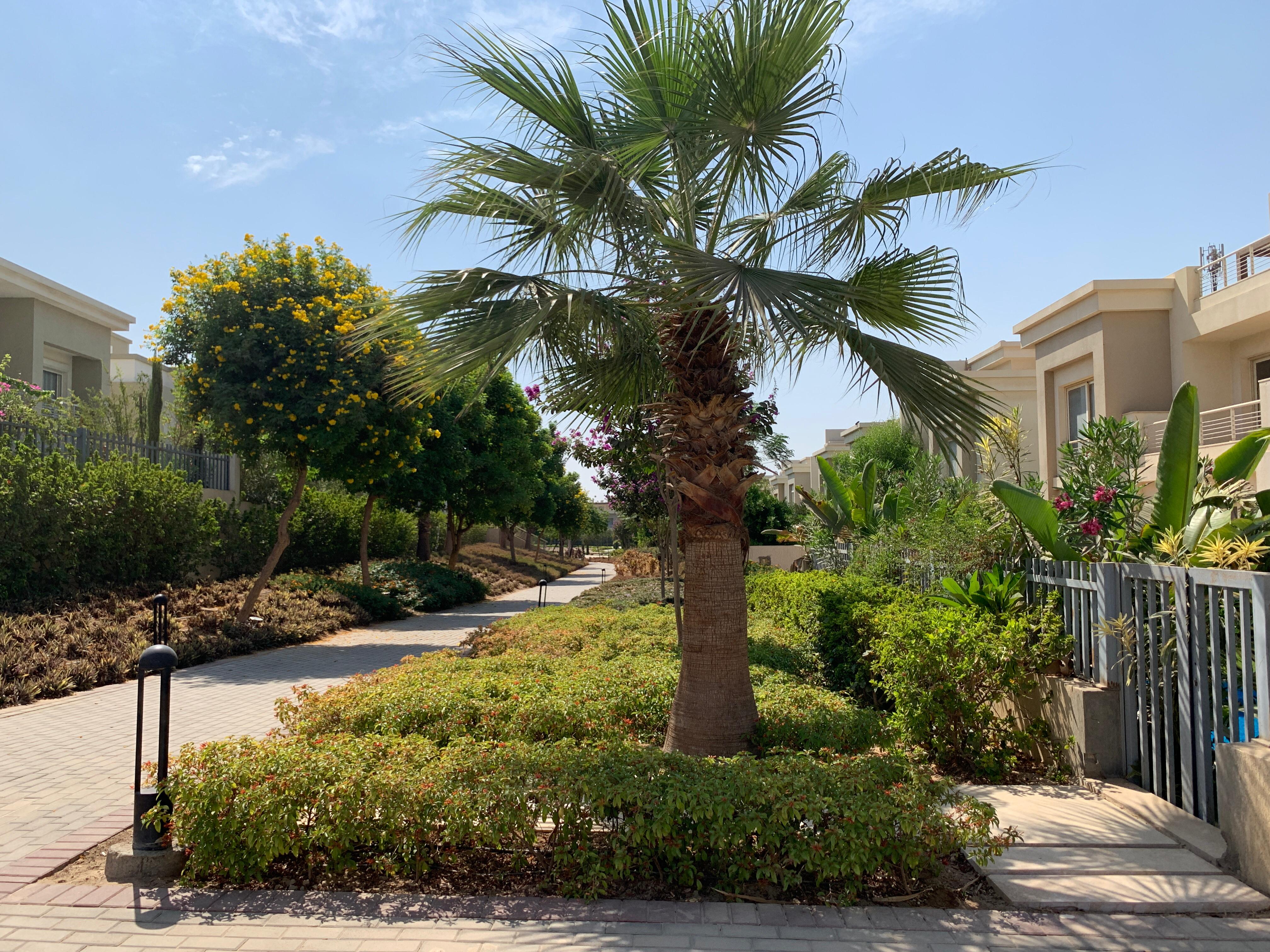 Twin House at Cairo Festival City | Forsa Property