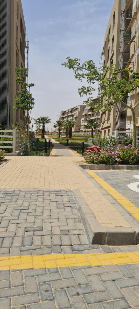 Apartment | Forsa Property