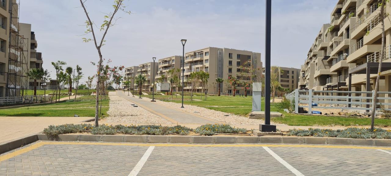 Apartment | Forsa Property