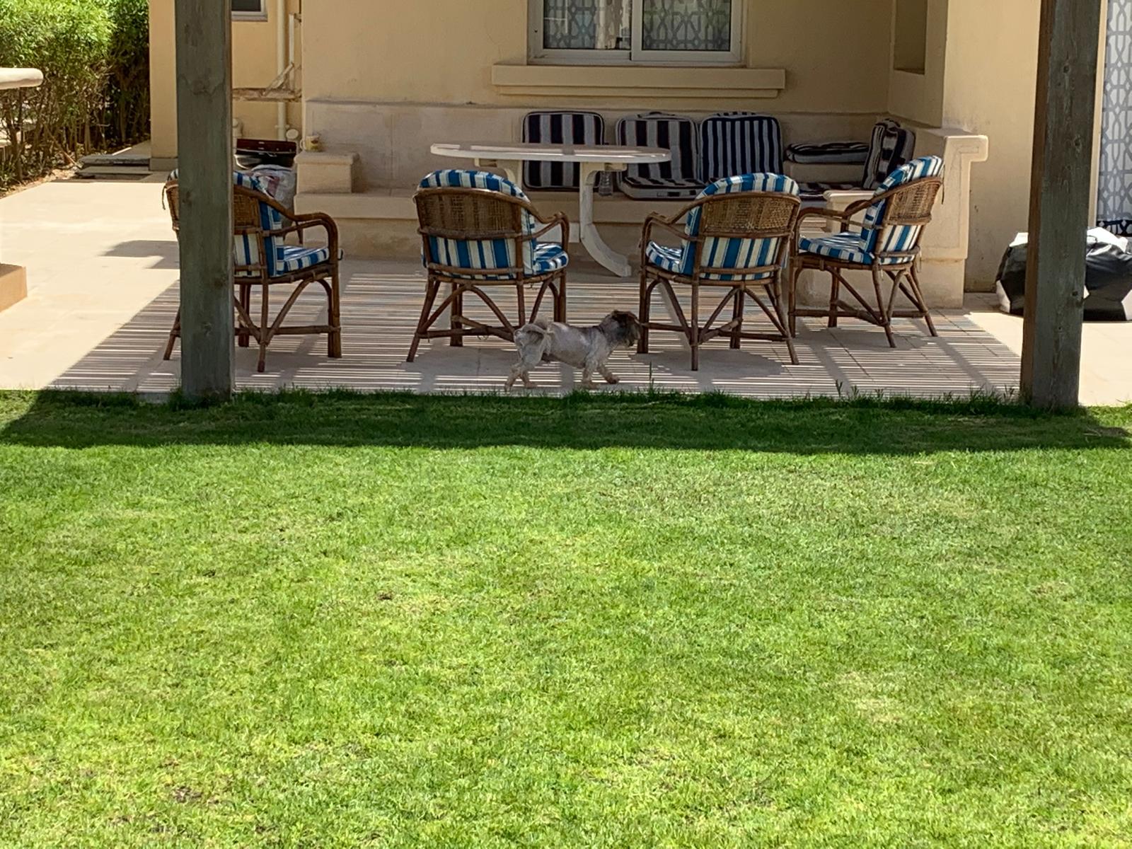 Villa at Stella Sidi Abdelrahman | Forsa Property