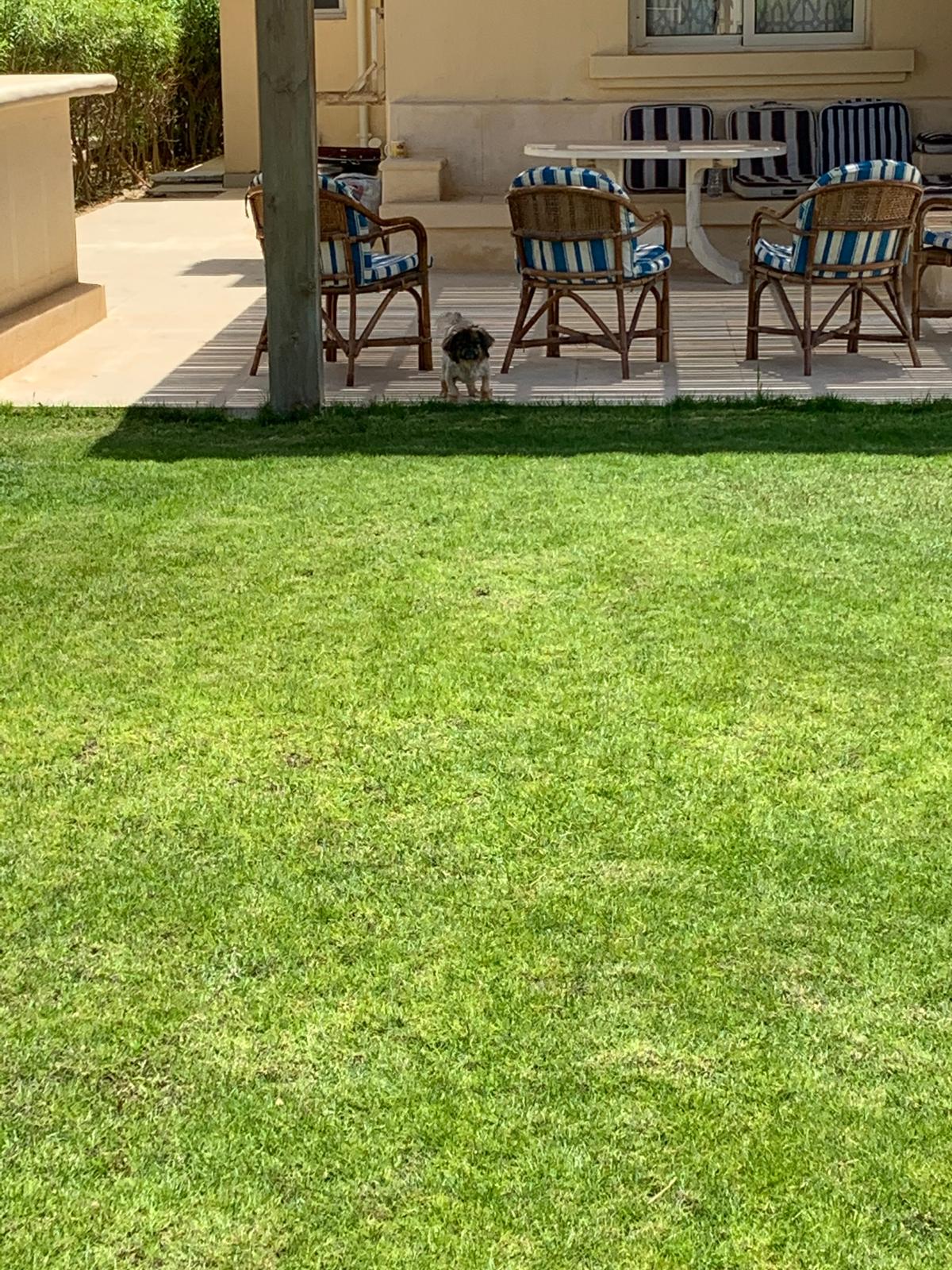 Villa at Stella Sidi Abdelrahman | Forsa Property