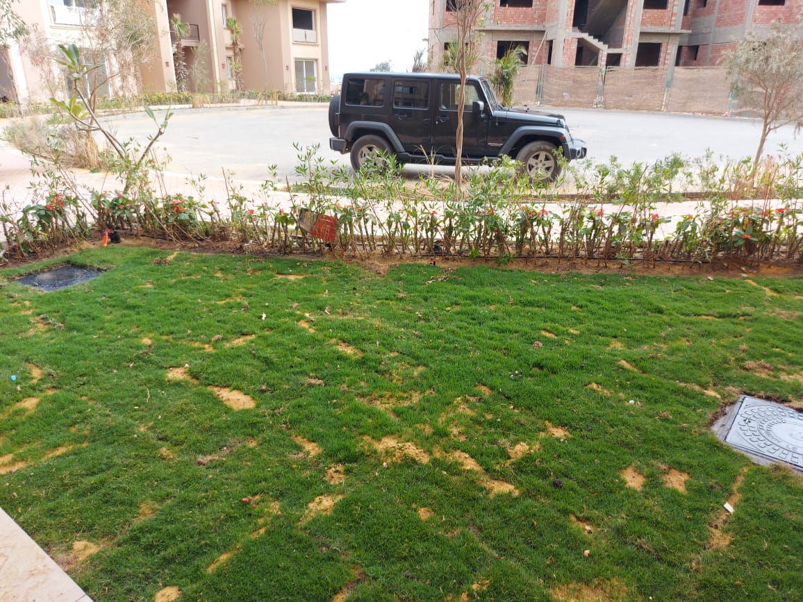 Chalet at Laguna Bay | Forsa Property