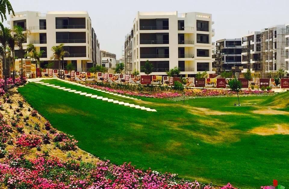 Apartment at Taj City | Forsa Property