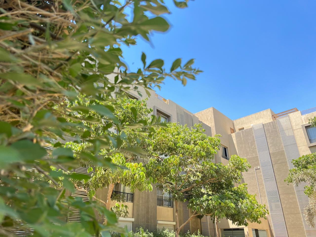 Apartment at Palm Parks | Forsa Property