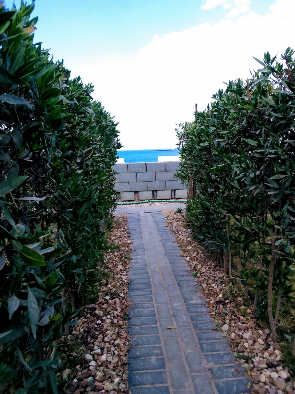 Chalet at The Groove | Forsa Property