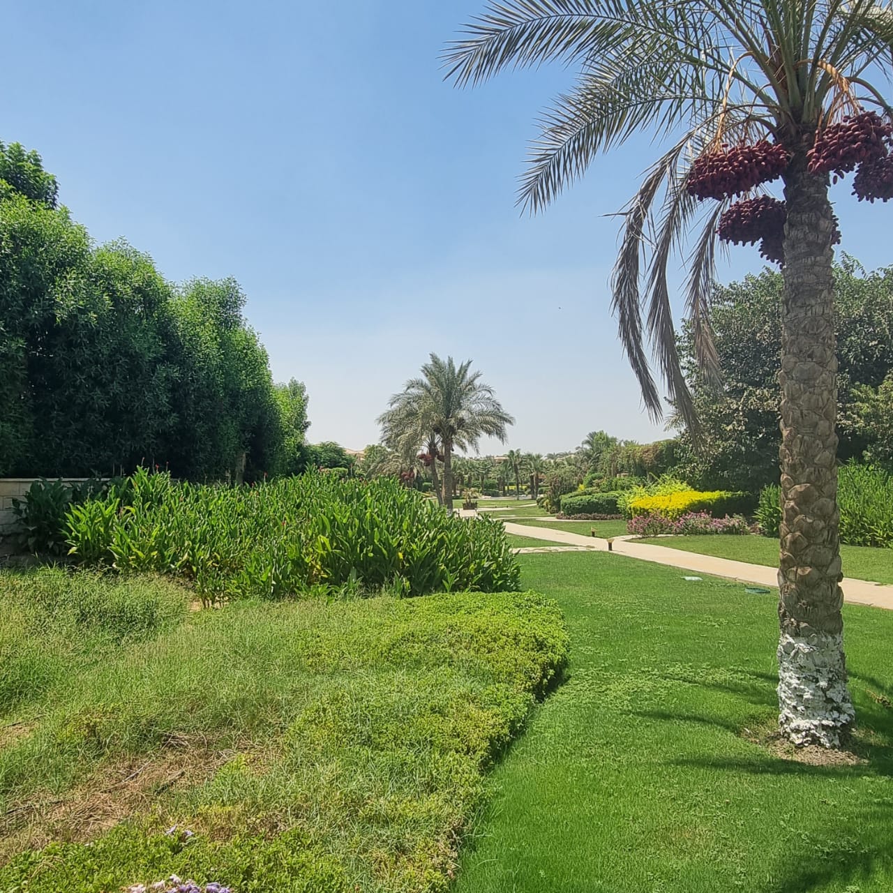 Villa at Stone Park | Forsa Property