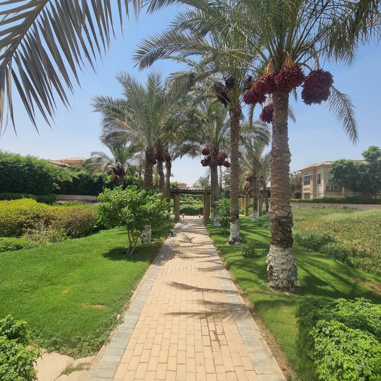 Villa at Stone Park | Forsa Property