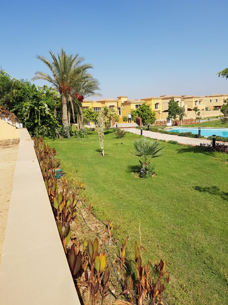 Apartment at Royal Meadows Sheikh Zayed | Forsa Property