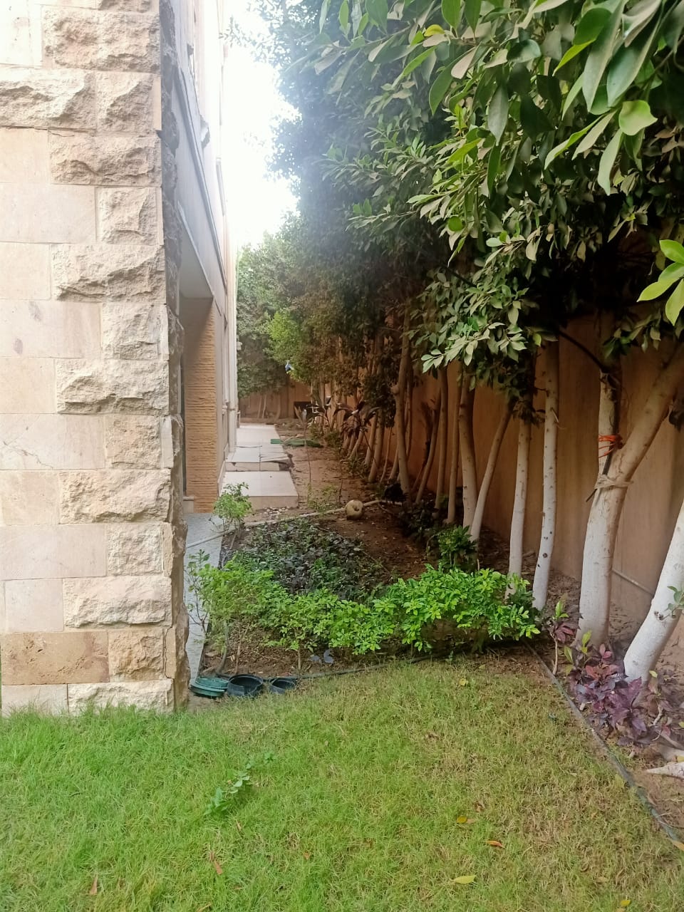 Villa at Al Yasmin-Sheikh Zayed | Forsa Property