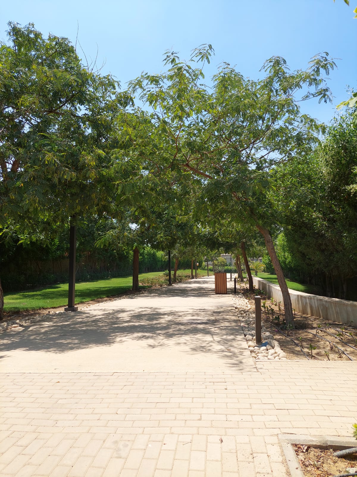 Twin House at Palm Hills Katameya (PK1) | Forsa Property