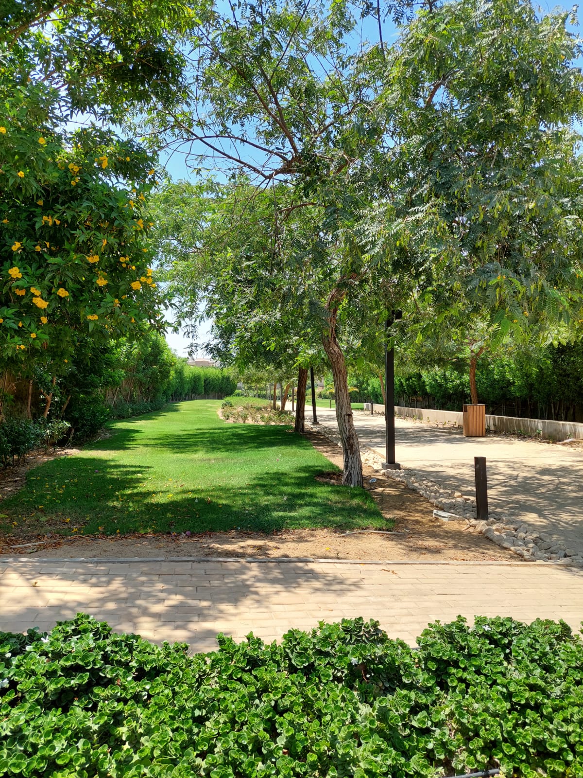 Twin House at Palm Hills Katameya (PK1) | Forsa Property