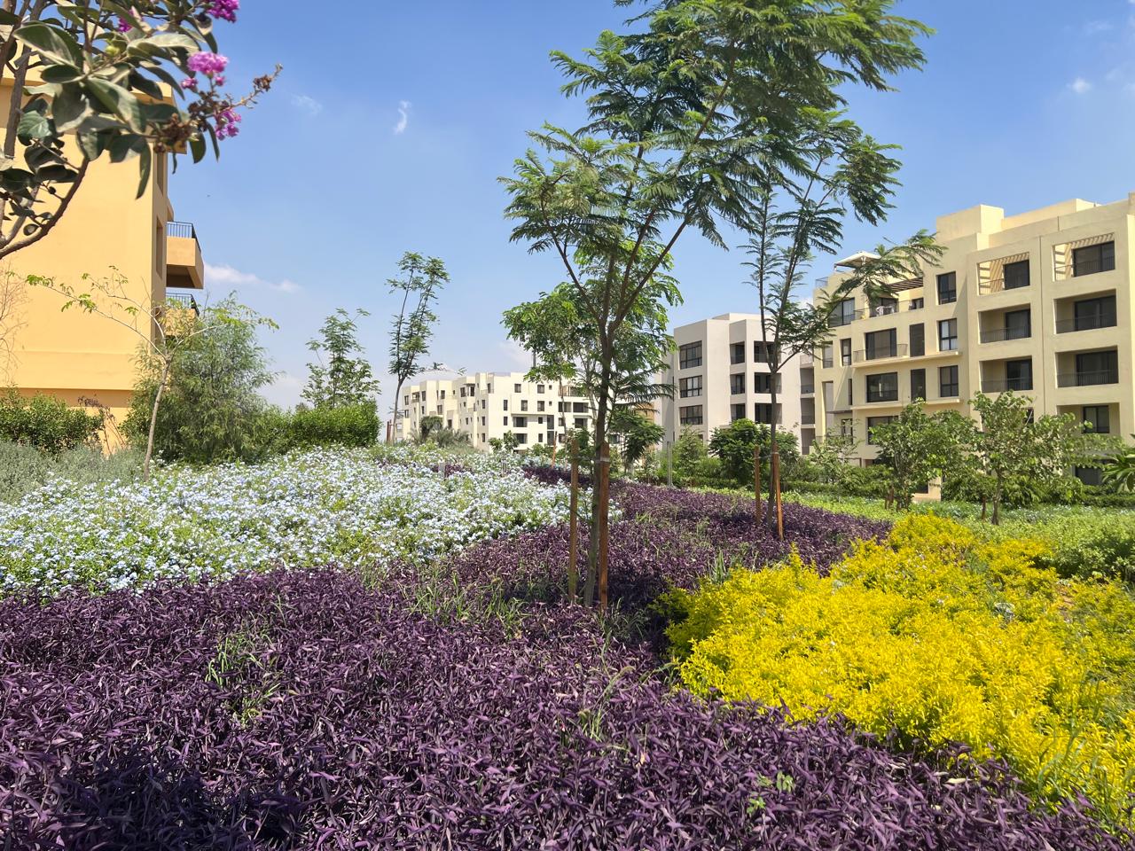 شقة at أو ويست أوراسكوم | Forsa Property شقة at أو ويست أوراسكوم | Forsa Property