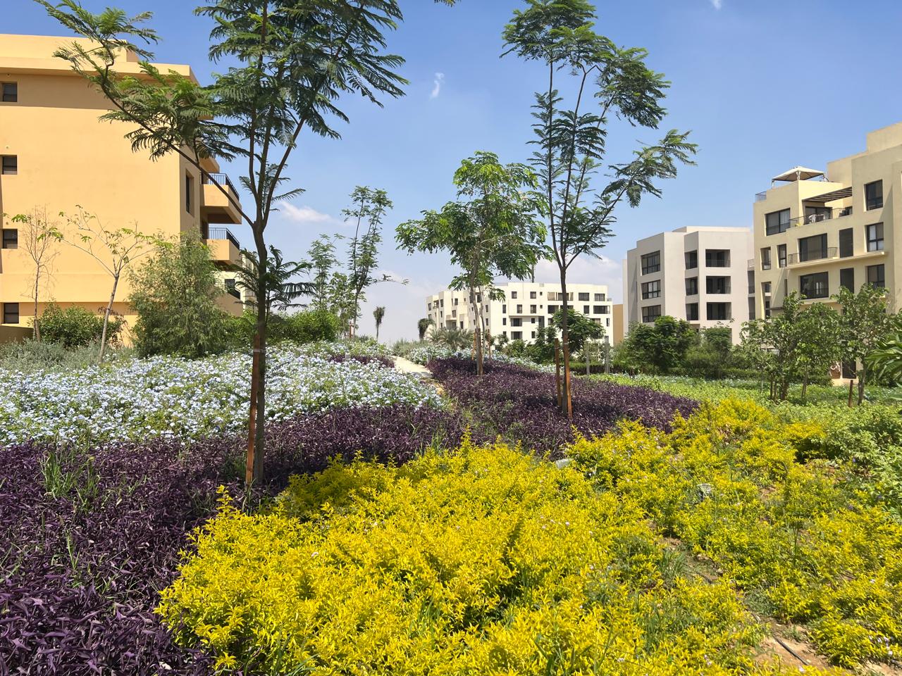 شقة at أو ويست أوراسكوم | Forsa Property شقة at أو ويست أوراسكوم | Forsa Property