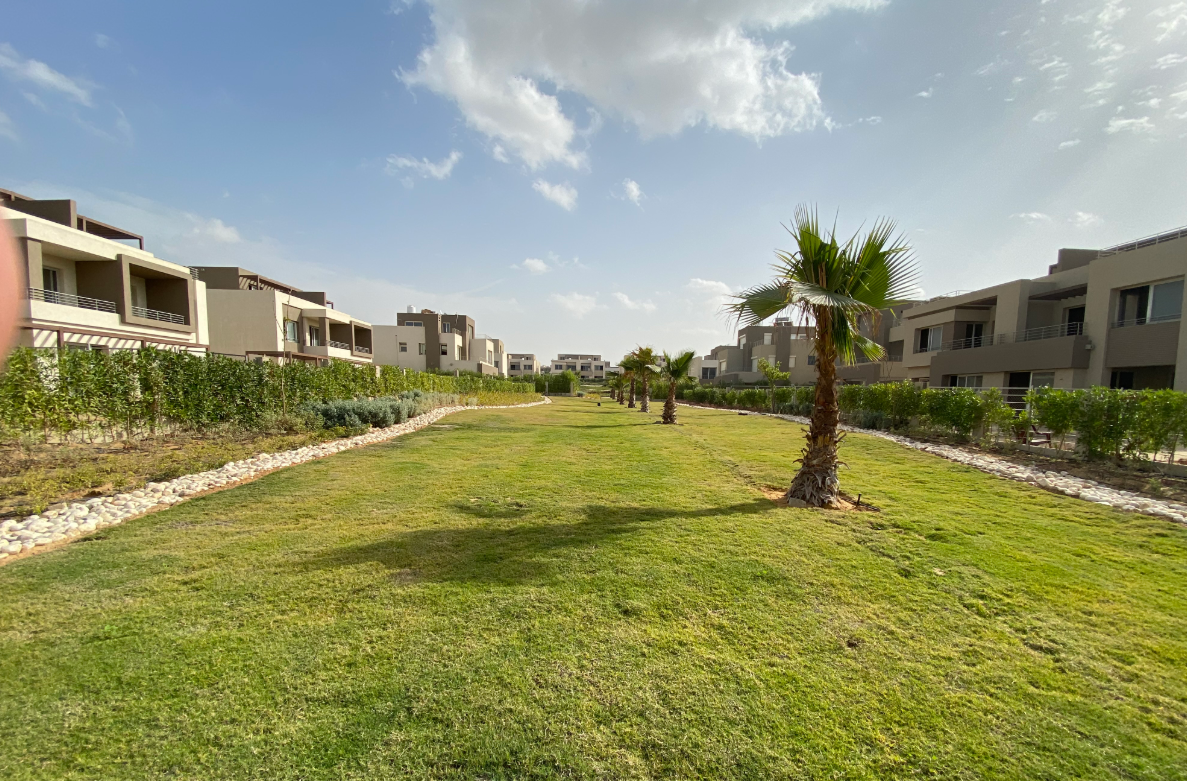 Twin House at Palm Valley | Forsa Property