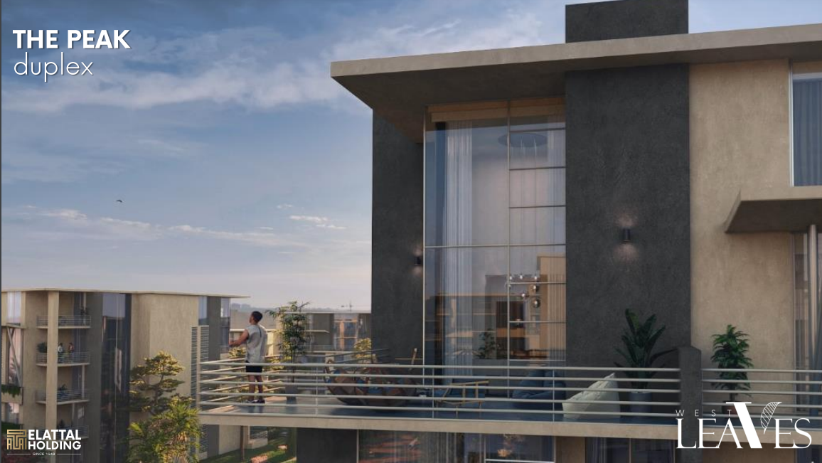 Duplex | Forsa Property