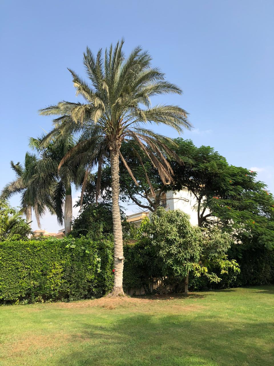 Villa at Golf Solimania | Forsa Property