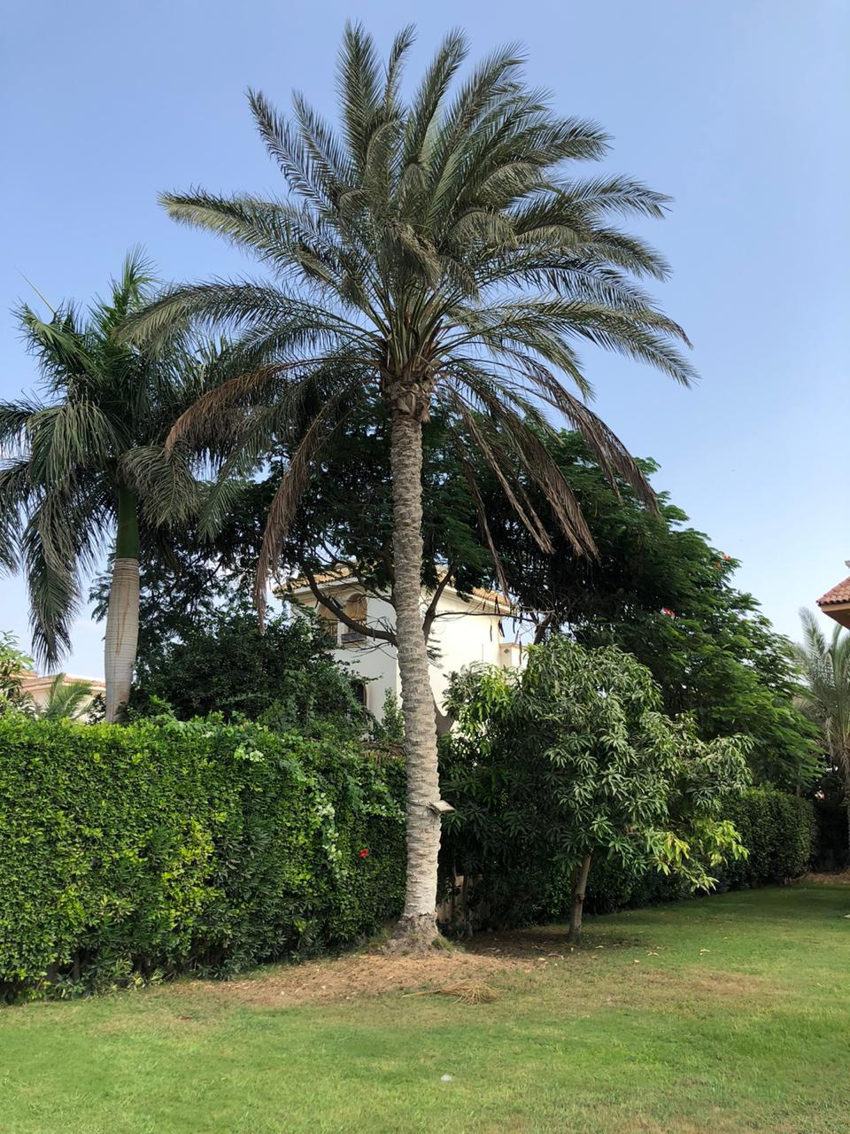 Villa at Golf Solimania | Forsa Property