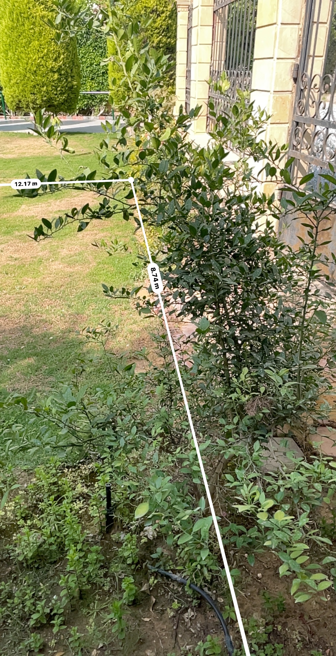 Twin House at La Rose New Cairo | Forsa Property Twin House at La Rose New Cairo | Forsa Property