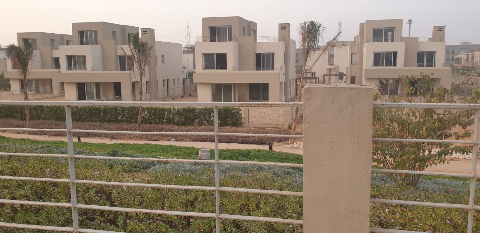 Twin House at Palm Valley | Forsa Property