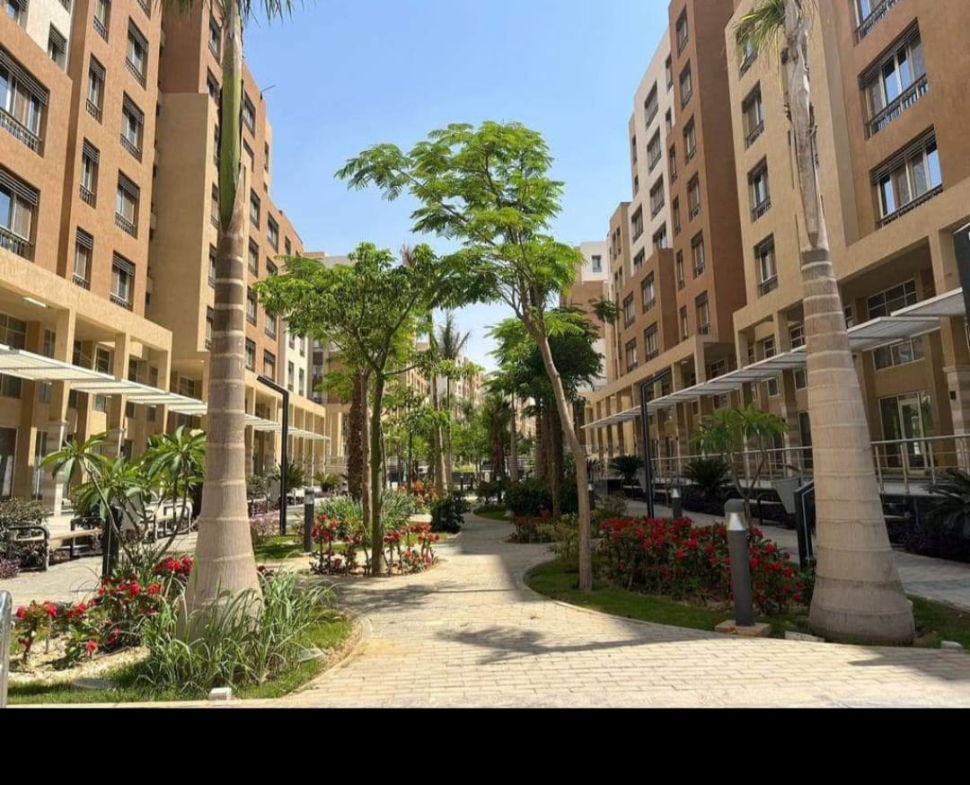 Apartment at Al Maqsad   | Forsa Property