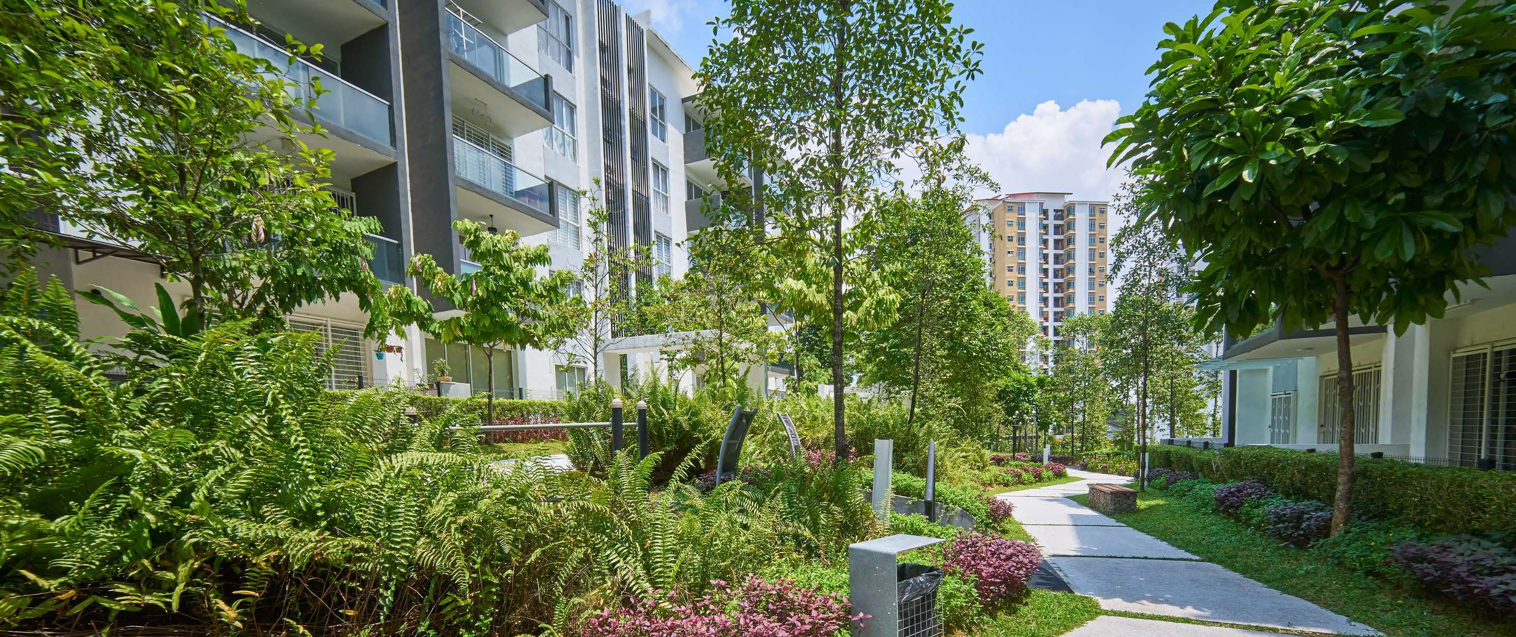 Apartment at Noll | Forsa Property