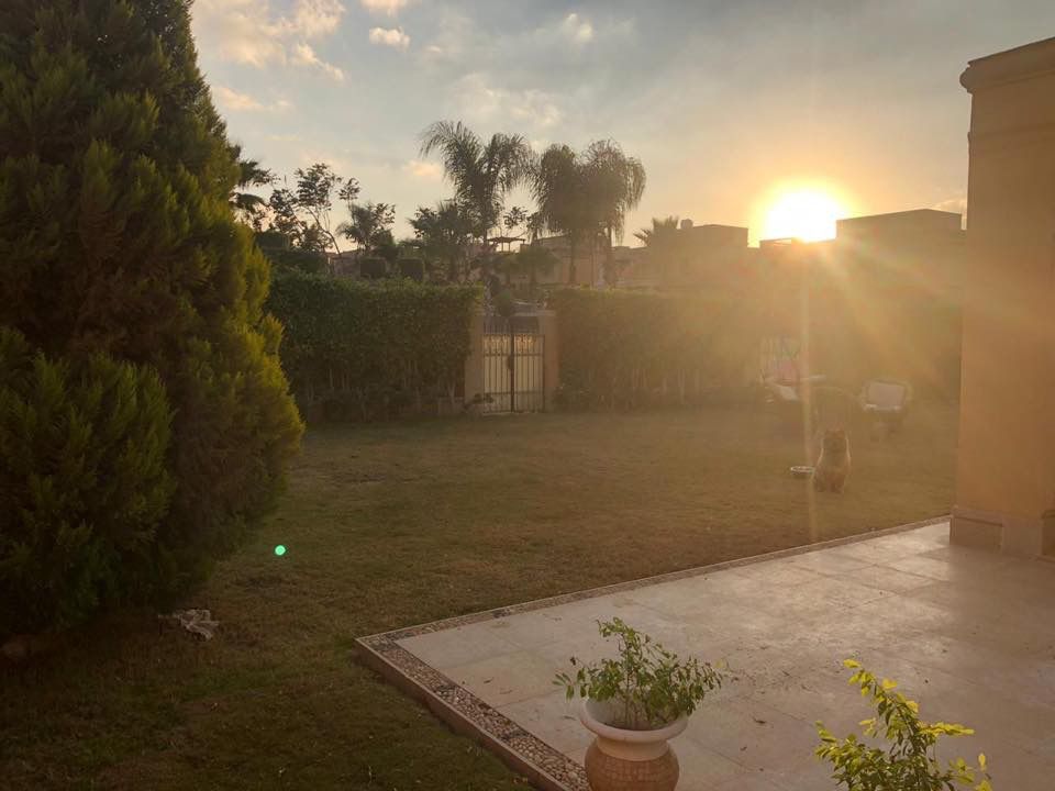 Twin House at Meadows Park | Forsa Property