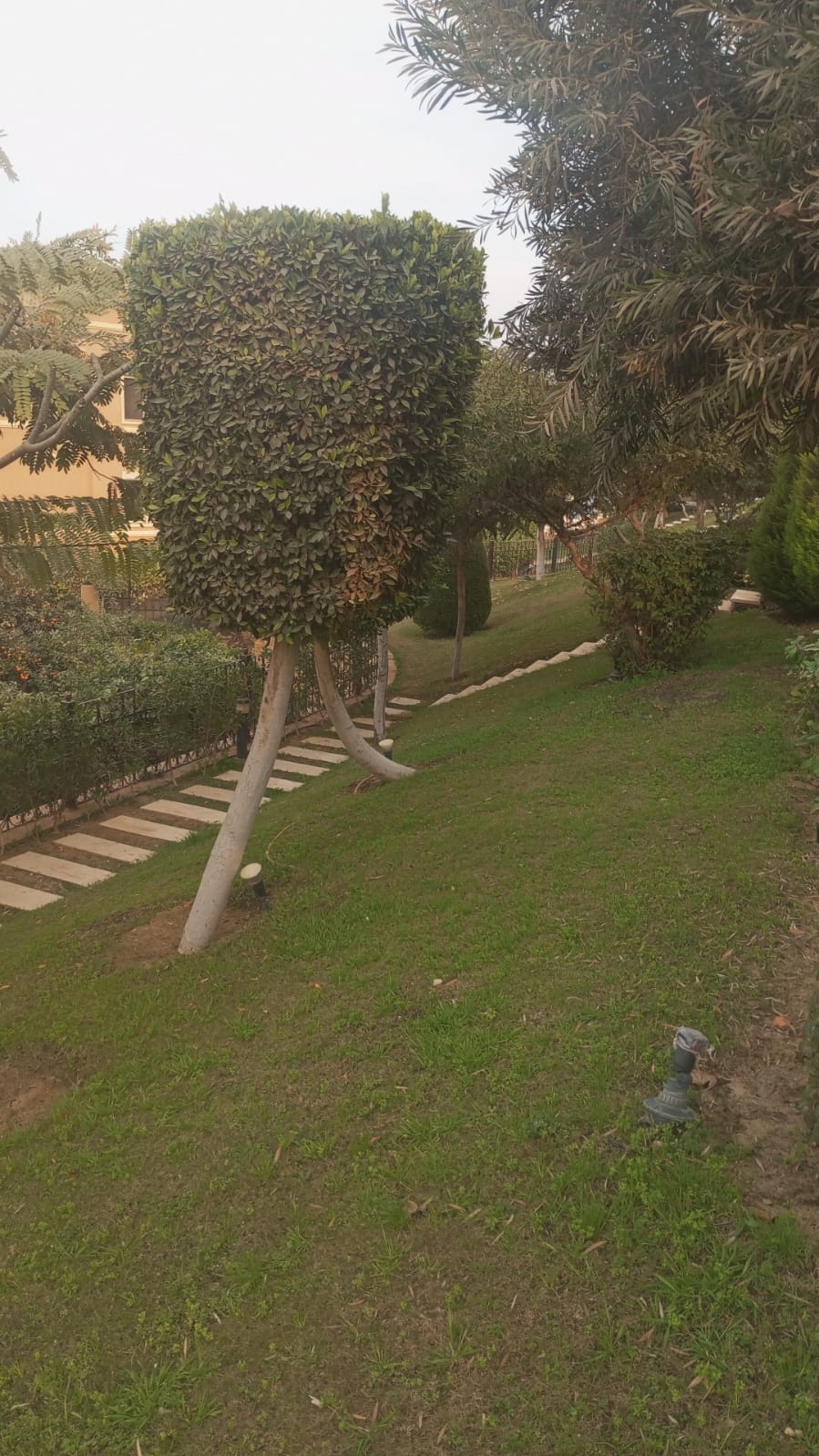 Townhouse at Dyar Park | Forsa Property