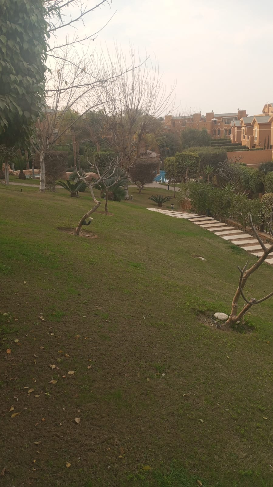 Townhouse at Dyar Park | Forsa Property