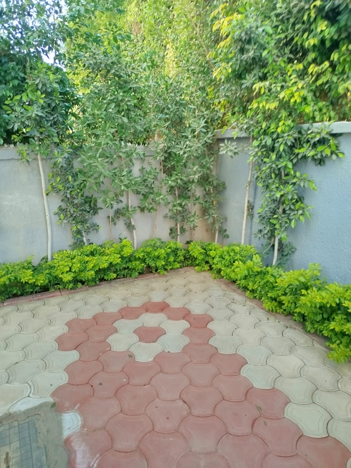 Villa at Loloat Al Sherouk | Forsa Property