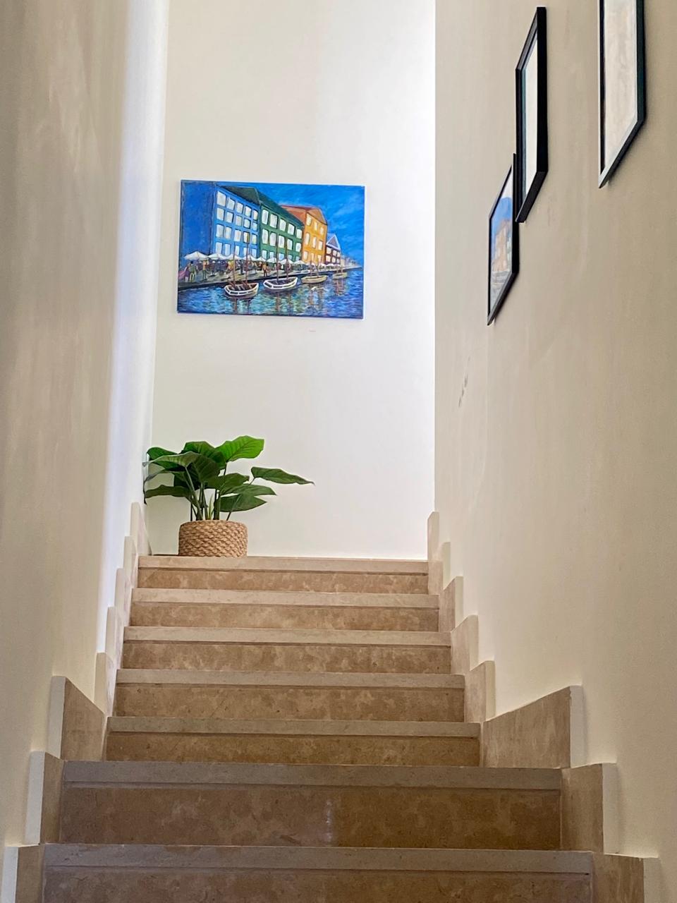 Duplex | Forsa Property