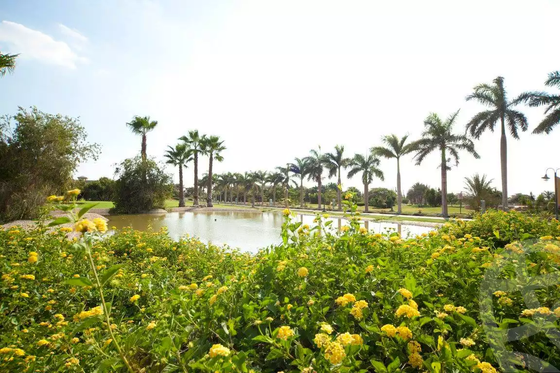 Villa at Wadi El Nakhil | Forsa Property