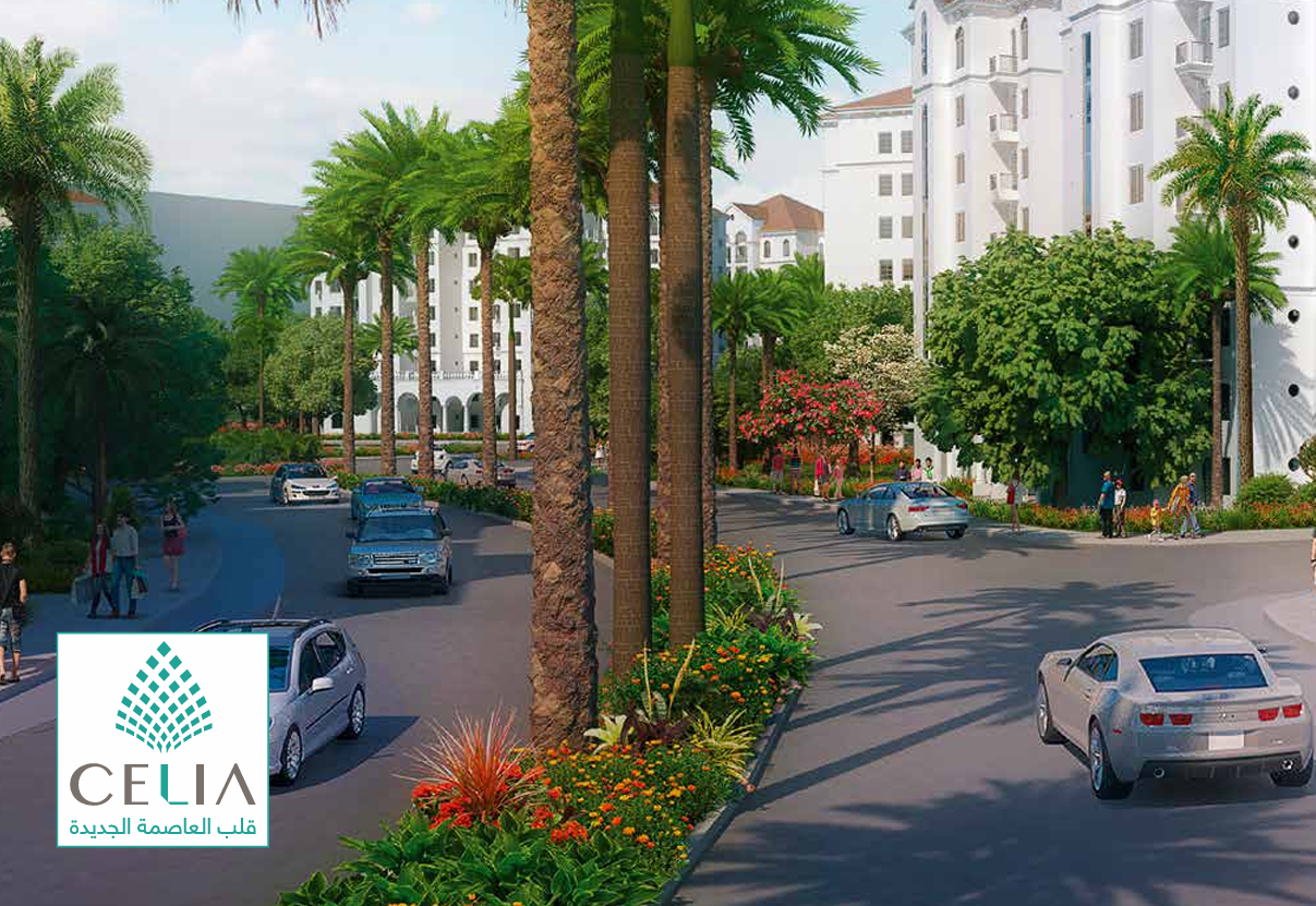 Apartment at Celia | Forsa Property