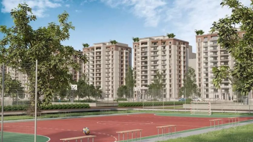 Apartment at Sawary  | Forsa Property